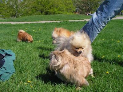 May16_04_176.jpg