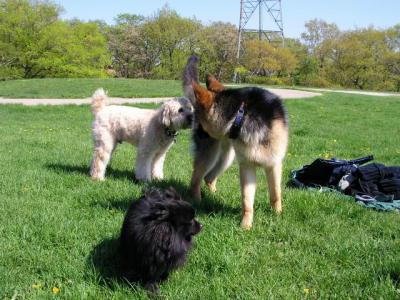 May16_04_185.jpg