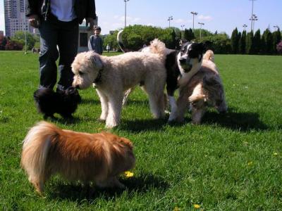May16_04_186.jpg
