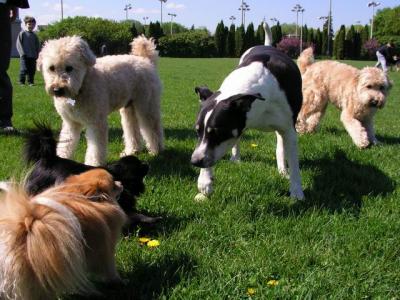 May16_04_187.jpg