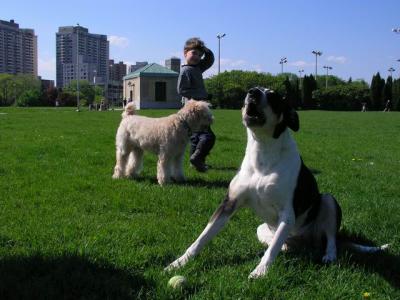 May16_04_190.jpg