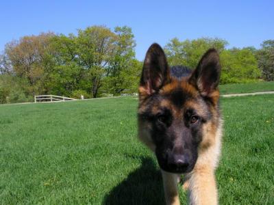 May16_04_191.jpg