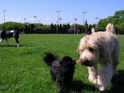 May16_04_192.jpg
