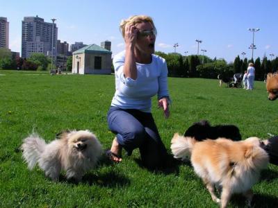 May16_04_207.jpg