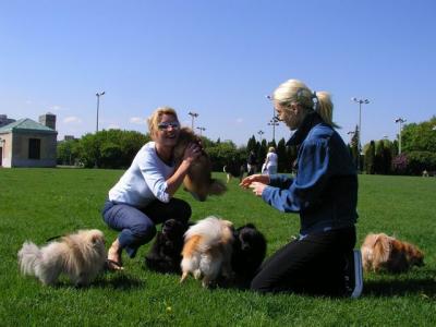 May16_04_209.jpg