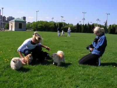 May16_04_213.jpg