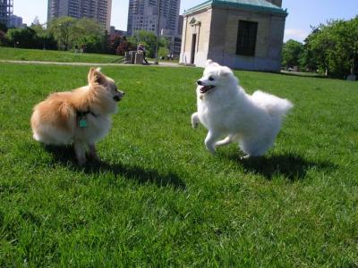 May16_04_229.jpg