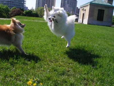 May16_04_230.jpg