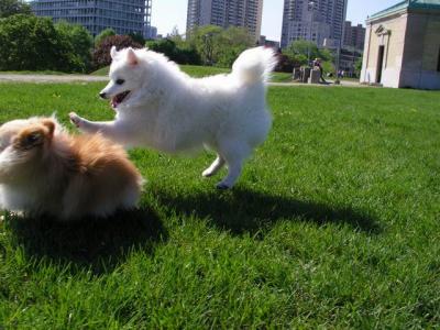 May16_04_231.jpg