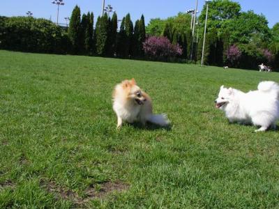 May16_04_235.jpg