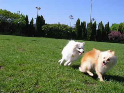 May16_04_236.jpg