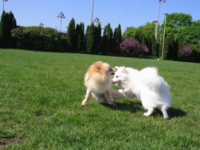 May16_04_237.jpg
