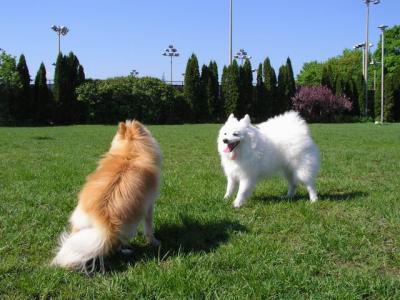 May16_04_238.jpg