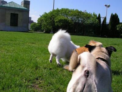 May16_04_239.jpg