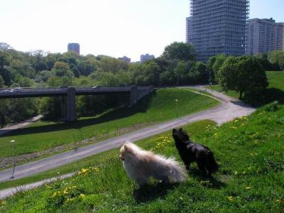 May16_04_337.jpg