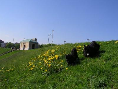 May16_04_341.jpg