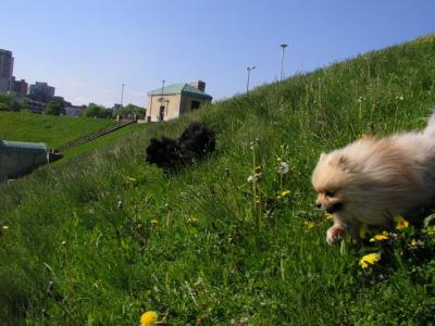 May16_04_343.jpg
