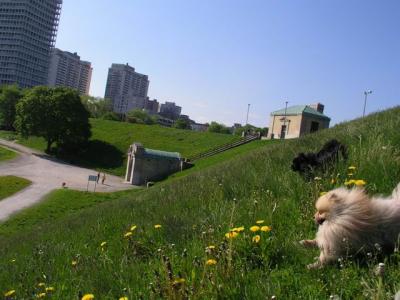 May16_04_345.jpg