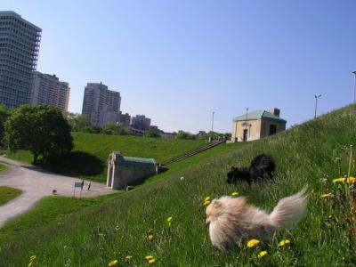 May16_04_346.jpg