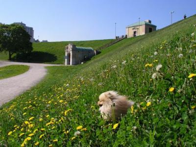 May16_04_347.jpg