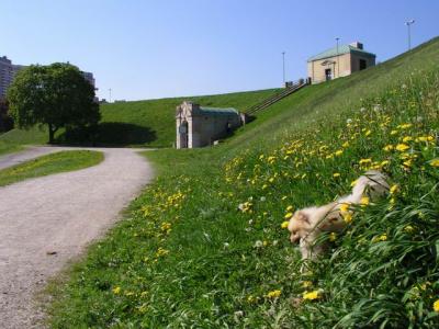 May16_04_349.jpg