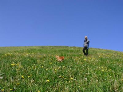 May16_04_350.jpg