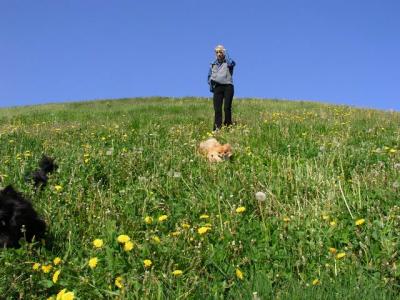 May16_04_353.jpg