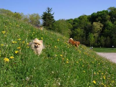 May16_04_359.jpg