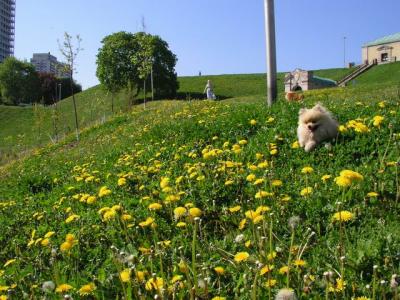 May16_04_361.jpg