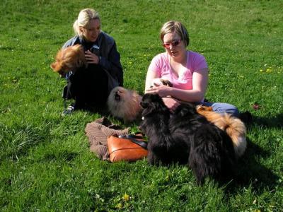 May16_04_362.jpg