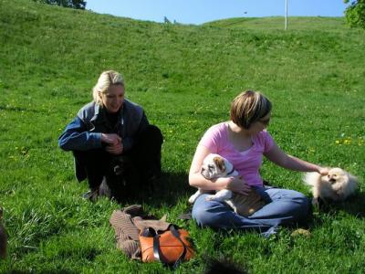 May16_04_368.jpg