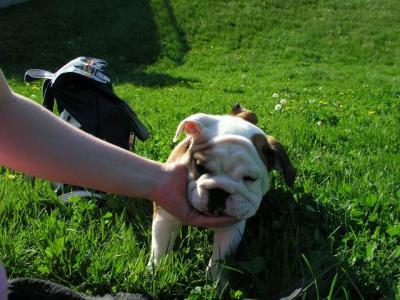 May16_04_378.jpg