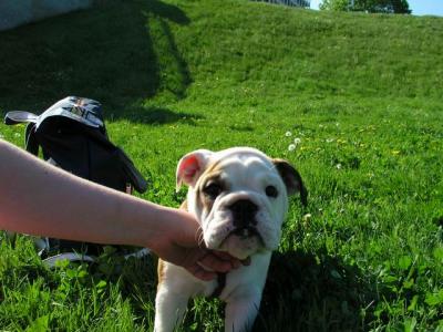 May16_04_379.jpg