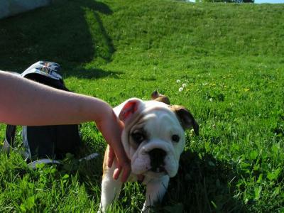 May16_04_380.jpg