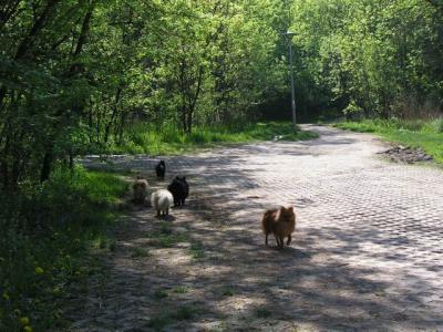 May16_04_433.jpg