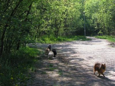 May16_04_434.jpg