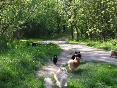 May16_04_436.jpg