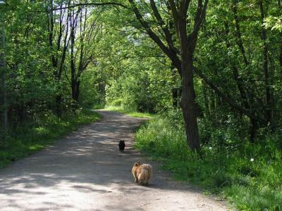 May16_04_437.jpg