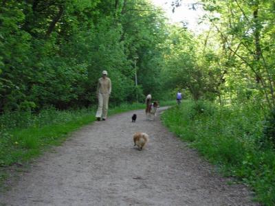May16_04_440.jpg