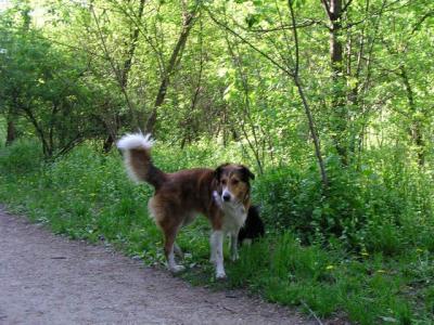 May16_04_441.jpg