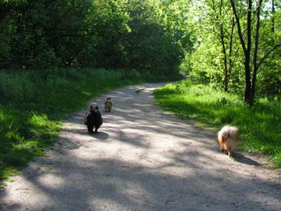 May16_04_444.jpg
