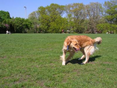 May16_04_455.jpg