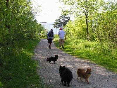 May16_04_468.jpg