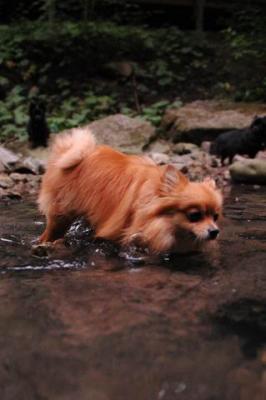 Sept25d_04_139.JPG
