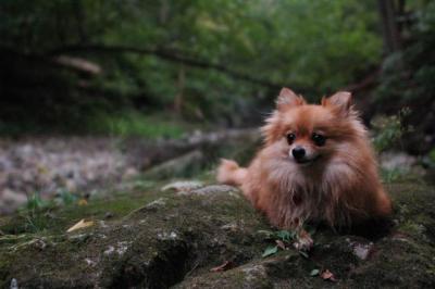 Sept25e_04_101.JPG