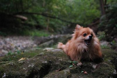 Sept25e_04_104.JPG