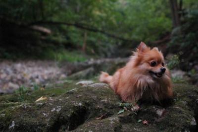 Sept25e_04_112.JPG