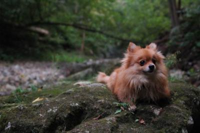 Sept25e_04_115.JPG