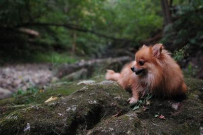 Sept25e_04_120.JPG