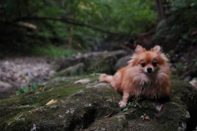 Sept25e_04_132.JPG